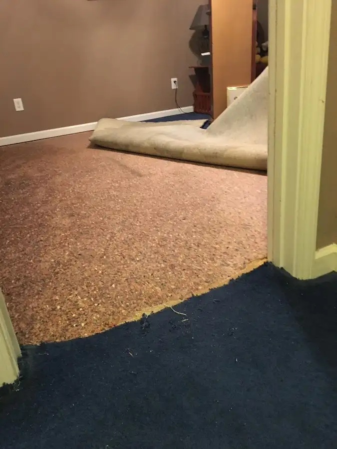 Carpet pad removal revealing water damage during Drying & Dehumidification in August